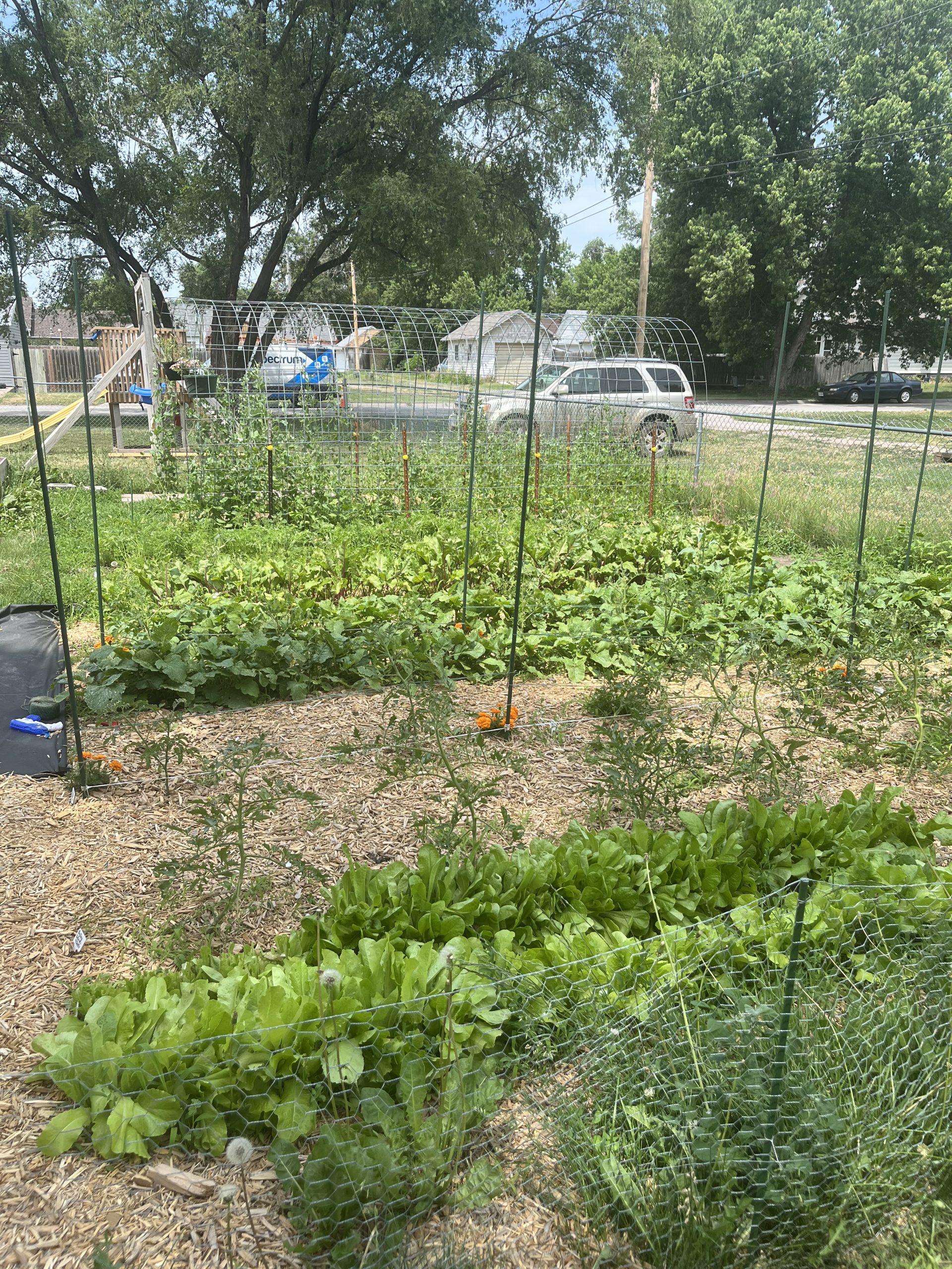 Lessons From The Garden In 2024